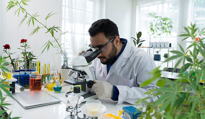 Agricultural Sciences Program Structure in Abroad