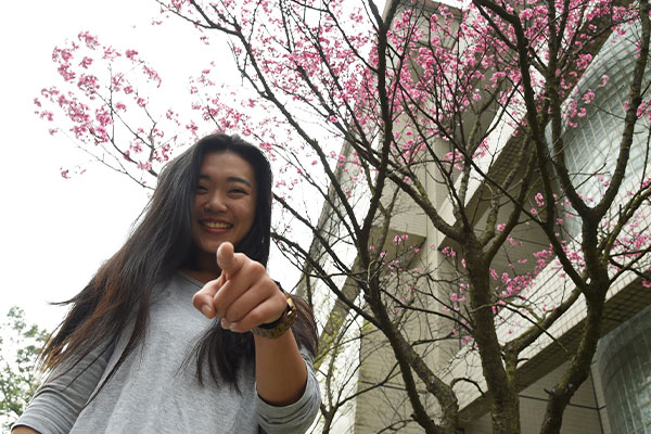 Chinese Culture University
                            Scholarships