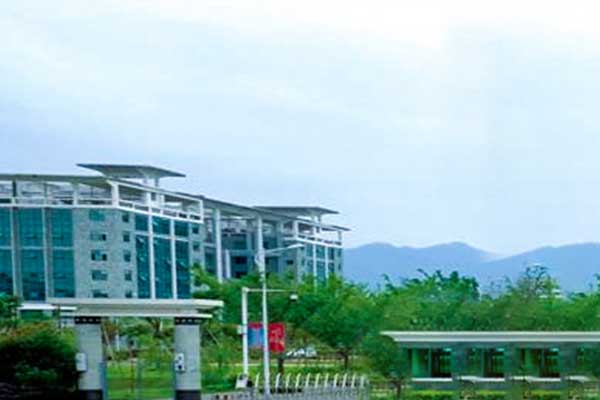 Weather & Environment