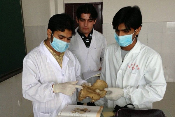 Programs, Schools, and Departments