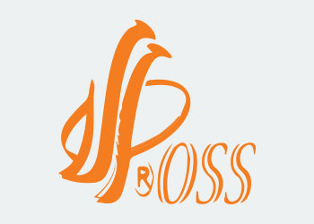 The Overseas Study Solution Logo 